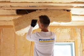 Trusted Du Quoin, IL Insulation Installation & Removal Experts