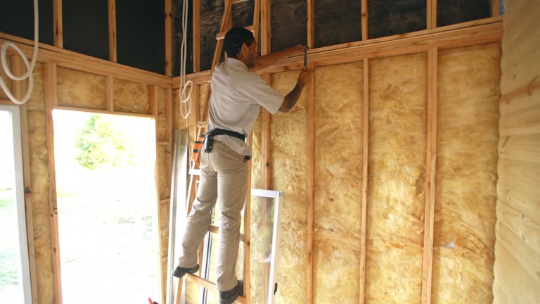  Du Quoin, IL Insulation Installation & Removal Pros